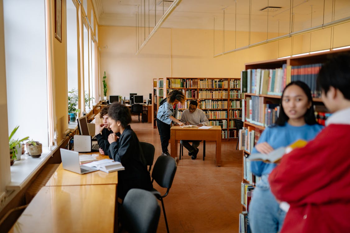 Free Students Studying Inside the Library Stock Photo